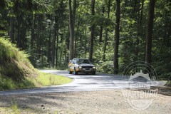 IMG_8226_roy