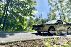 IMG_1550