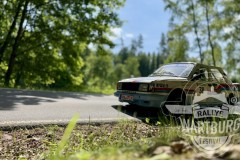 IMG_1552